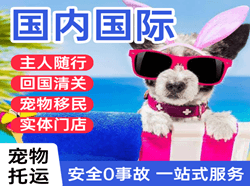 扬州航空运输国际宠物托运 【国